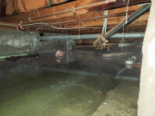 Best Residential water damage restoration  in Tillmans Corner, AL