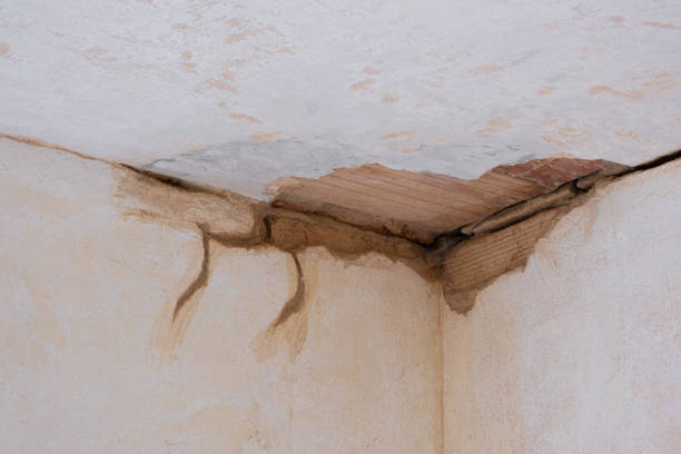 Best Commercial water damage restoration  in Tillmans Corner, AL