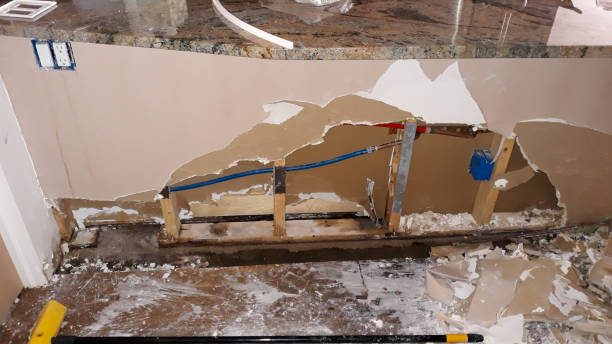 Best Carpet water damage restoration  in Tillmans Corner, AL