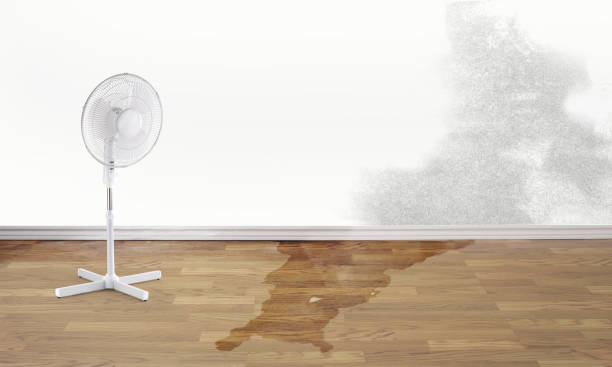 Sewage cleanup and water damage restoration in Tillmans Corner, AL