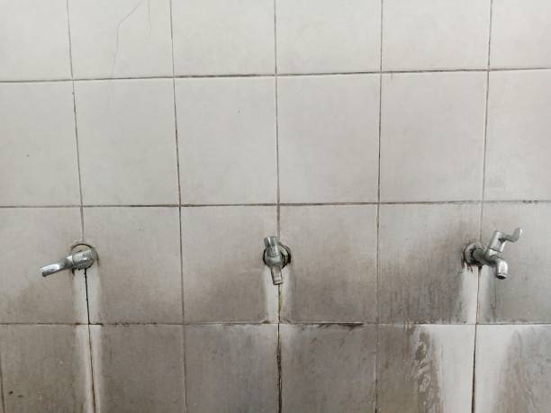 Best Water damage restoration mold remediation  in Tillmans Corner, AL