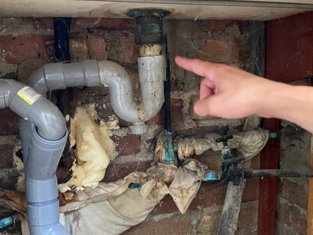 Best Professional water damage repair  in Tillmans Corner, AL