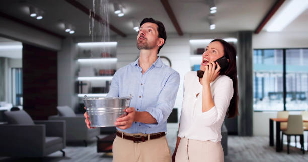 Trusted Tillmans Corner, AL Water damage restoration Experts