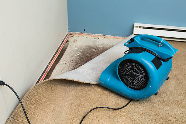 Best Water damage mitigation services  in Tillmans Corner, AL